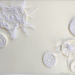 Sand Dollar