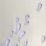 Seeds 4