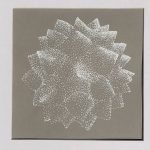 A mechanical Explanation Of Organic Forms