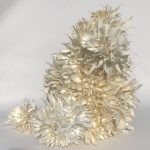 Intricate World Of Forms